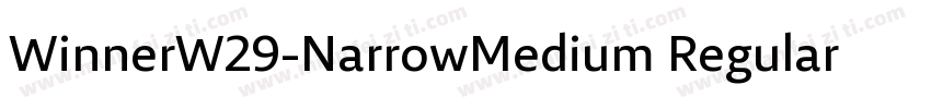WinnerW29-NarrowMedium Regular字体转换